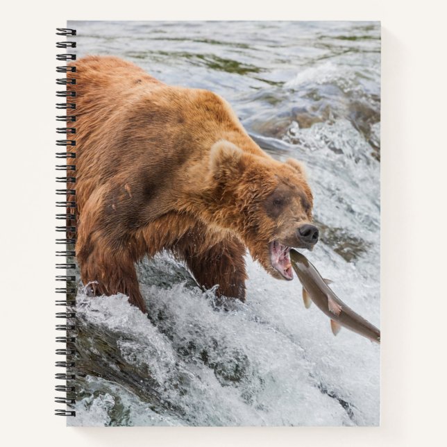 Carnet Ours brun attrape un saumon rouge (Devant)