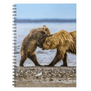 Carnet Ours brun côtier