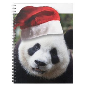 Carnet Ours de panda Noël