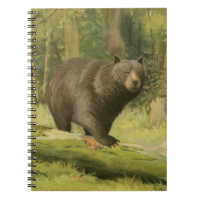 Carnet Ours noir sur un tronc d'arbre (Devant)
