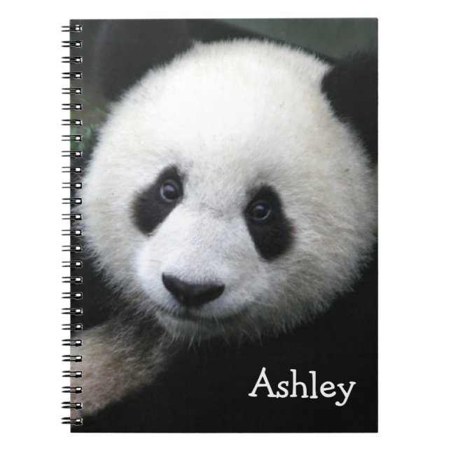 Carnet Ours Panda (Devant)