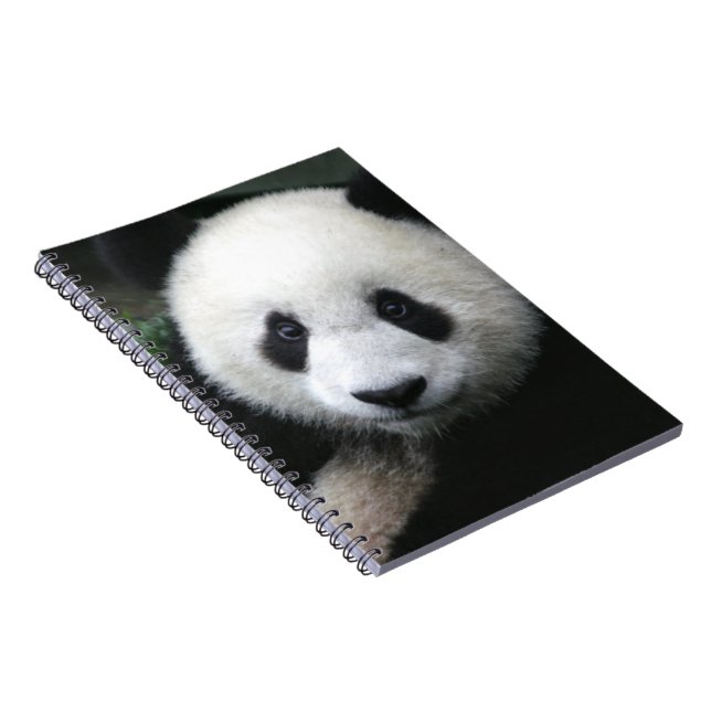 Carnet Ours souriant Panda (Côté Droit)