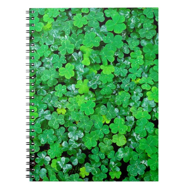 Carnet Oxalis de printemps (Devant)