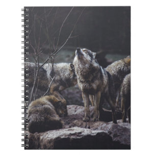 CARNET PACK DE LOUPS EN FORMATION ROCK