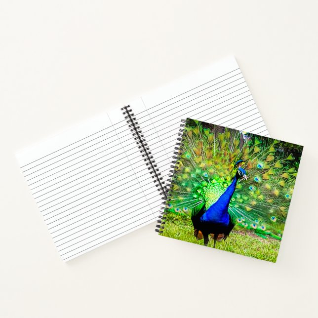 Carnet Pacock (Intérieur)