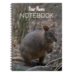Carnet Pademelon