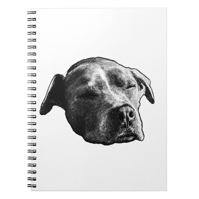 Carnet Pages Neige (Devant)