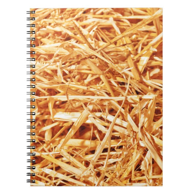 Carnet Paille, conception abstraite (Devant)