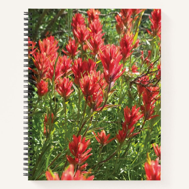 Carnet Paintbrush Spiral Notebook (Devant)
