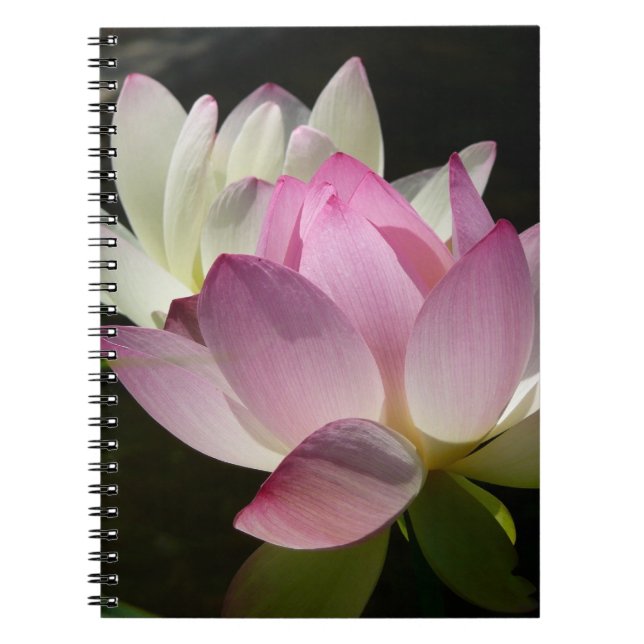 Carnet Paire de fleurs de Lotus II (Devant)