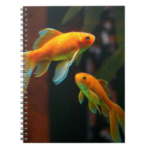 Carnet Paires du poisson rouge chanceux