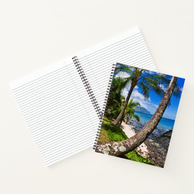 Carnet Palmiers le long de la plage de Hideaways (Intérieur)