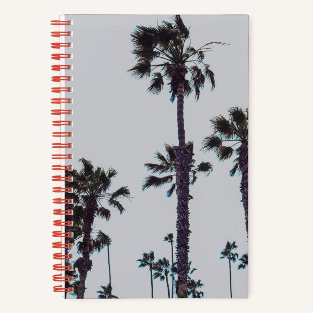 Carnet Palmiers océaniques (Recto)