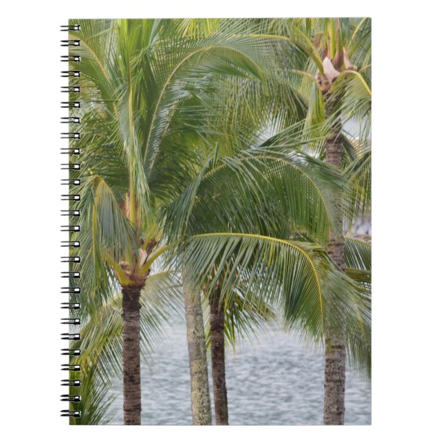 Carnet Palmiers tropicaux Hawaii (Devant)