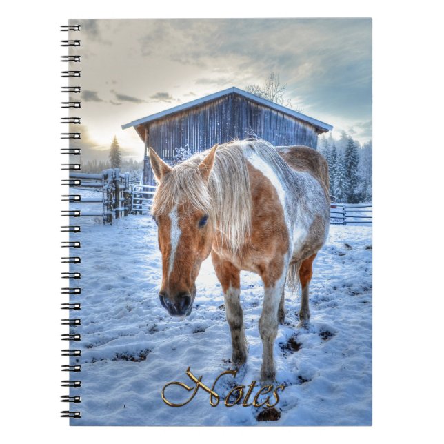 Carnet Palomino Paint Horse-lover's Equine Design (Devant)