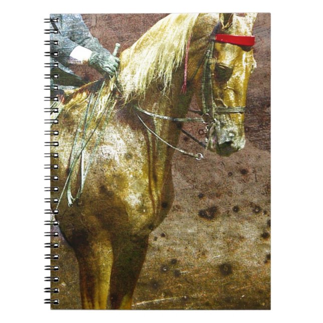 Carnet Palomino Saddleseat Grunge (Devant)
