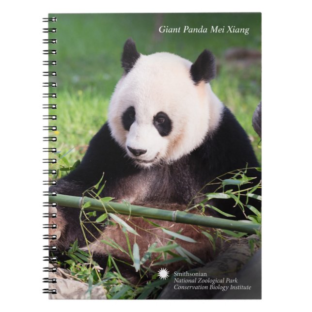 Carnet Panda géant Mei Xiang (Devant)
