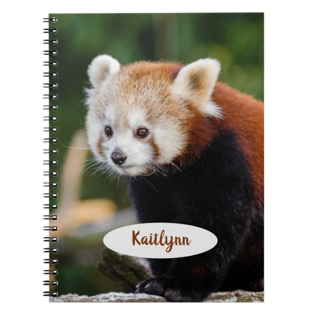 Carnet Panda rouge personnalisé (Devant)