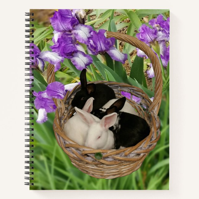 Carnet Panier adorable de lapins (Devant)