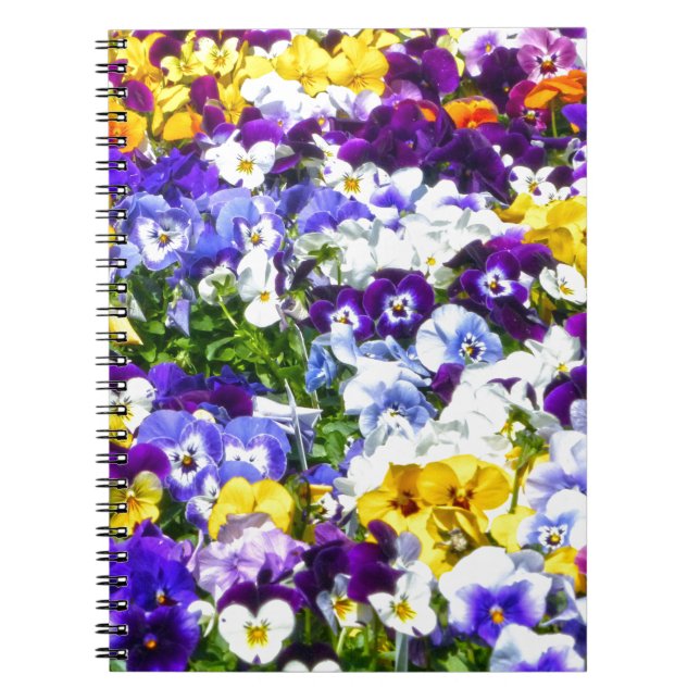 Carnet Pansies (Devant)