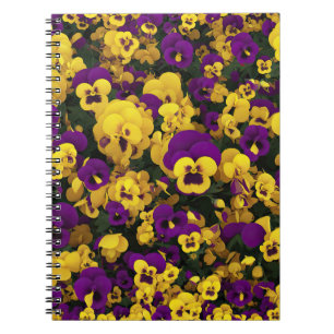 Carnet Pansies jaune et violet
