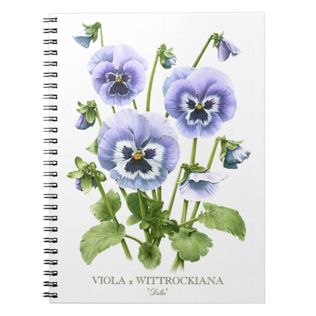 Carnet Pansies violettes Art botanique (Devant)