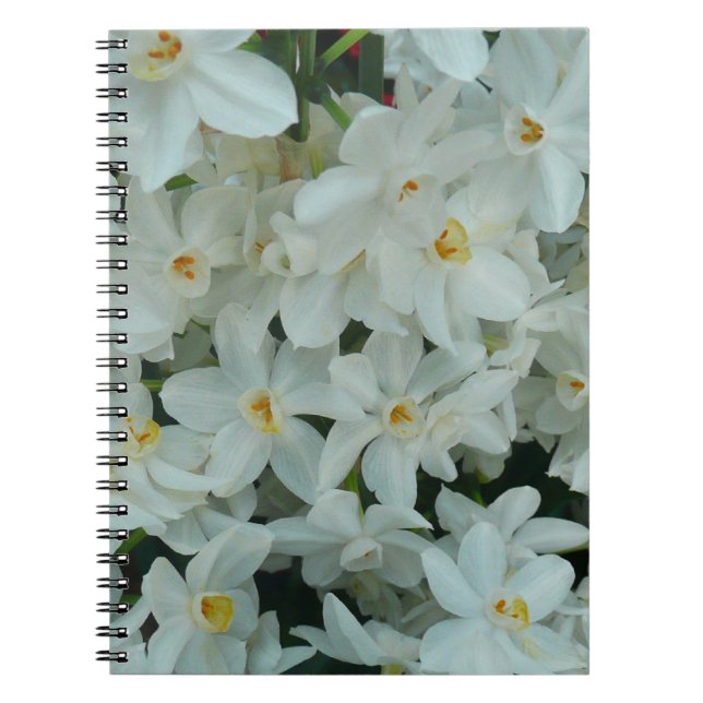 Carnet Paperwhite Narcissus Fleurs blanches délicates (Devant)