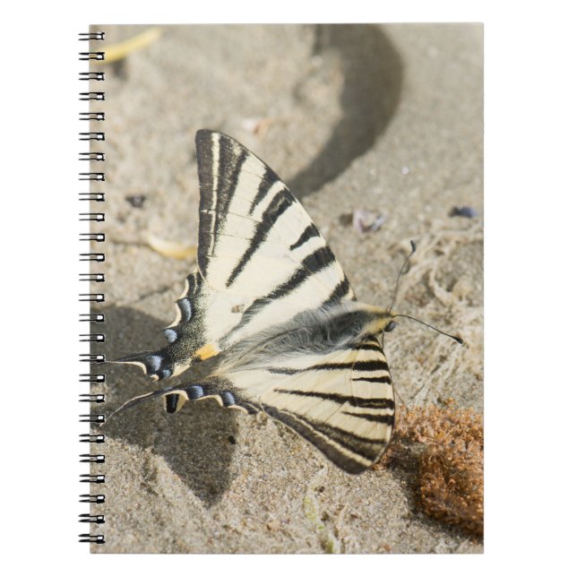 Carnet Papillon (Devant)