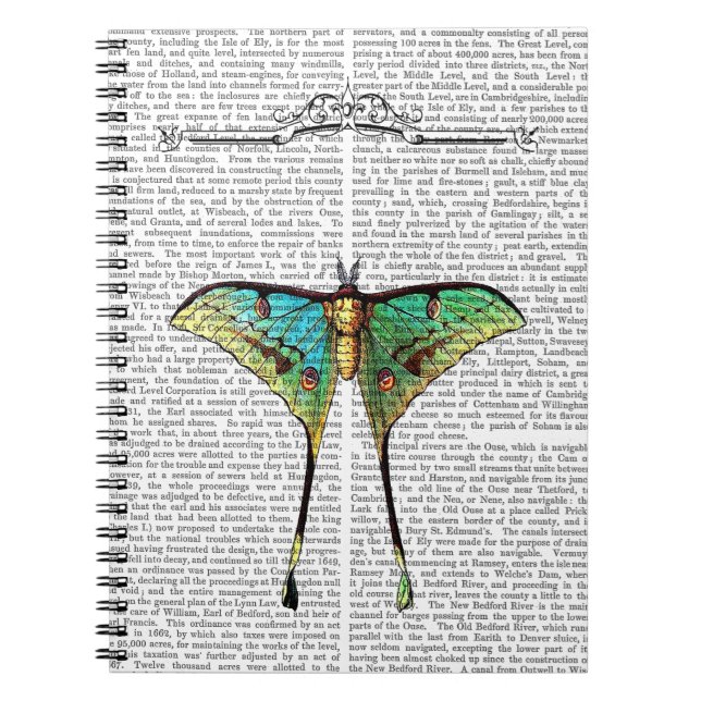 Carnet Papillon 2 (Devant)