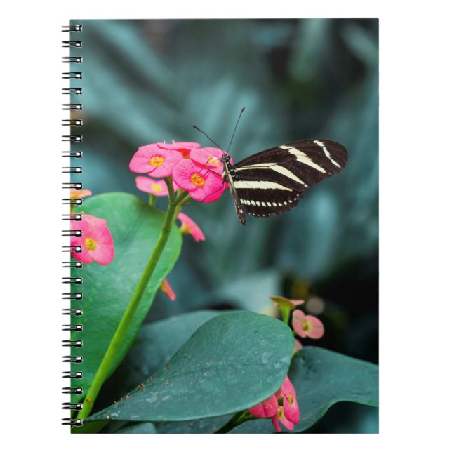 Carnet papillon coloré dans le jardin (Devant)
