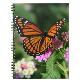 Carnet Papillon de monarque sur le Lantana
