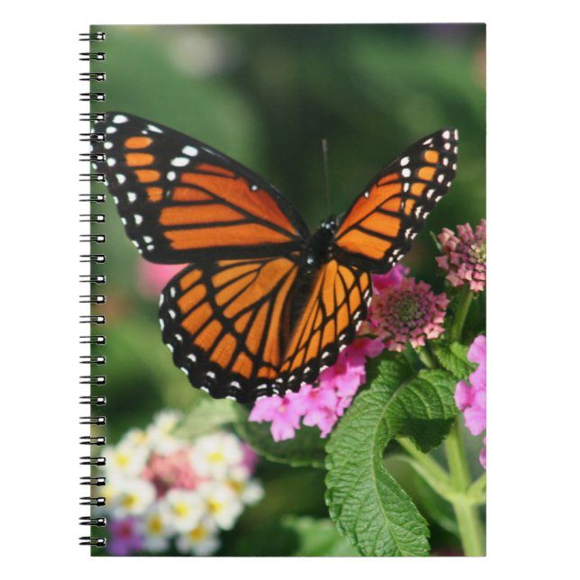 Carnet Papillon de monarque sur le Lantana (Devant)