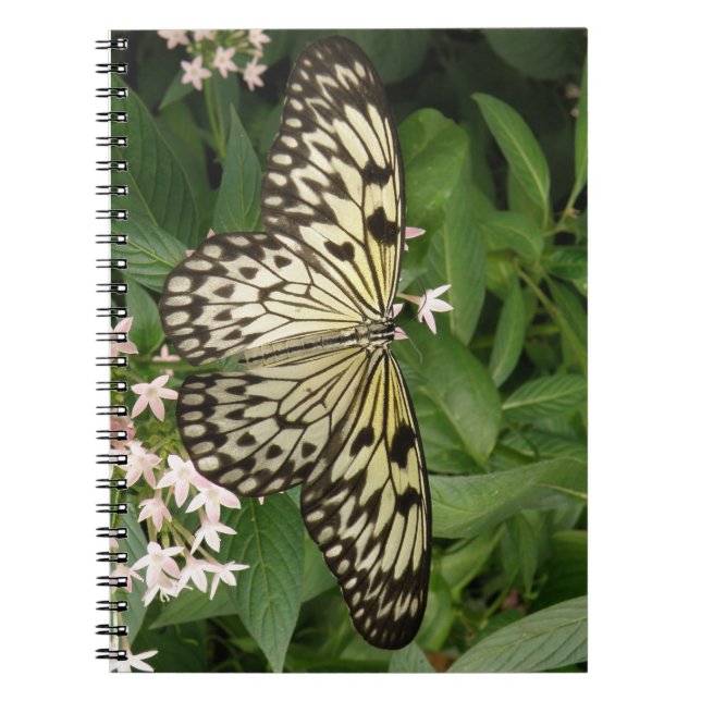 Carnet papillon en papier (Devant)