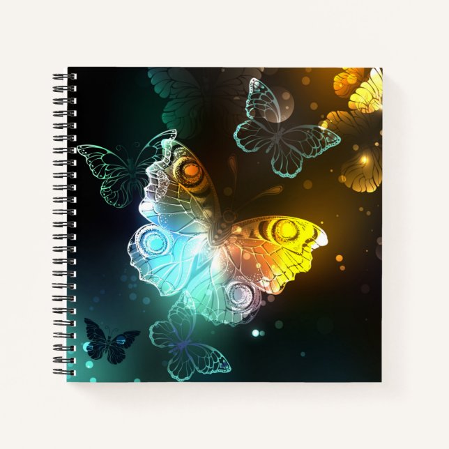 Carnet Papillon lumineux et papillons de nuit (Devant)