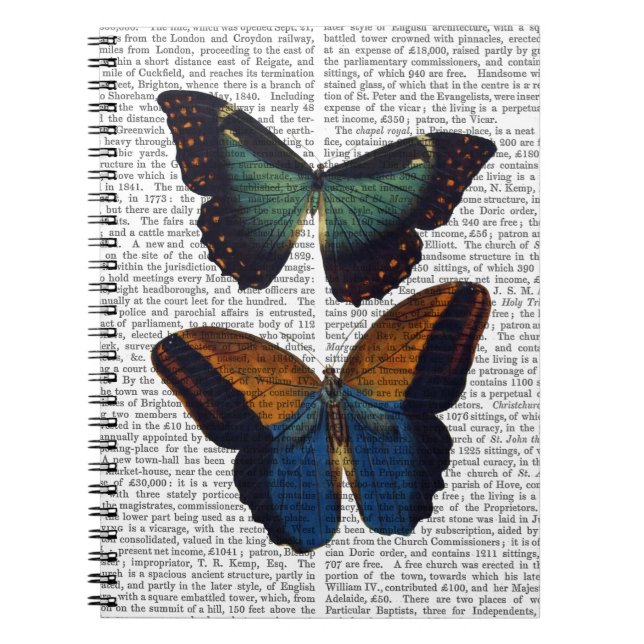 Carnet Papillons 5 (Devant)