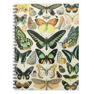 Carnet Papillons Adolphe Millot B