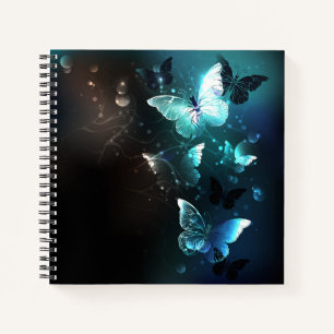 Carnet Papillons de nuit