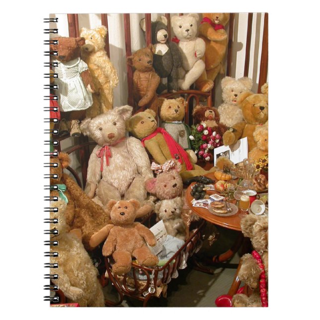 Carnet Paradis des collectionneurs nounours (Devant)