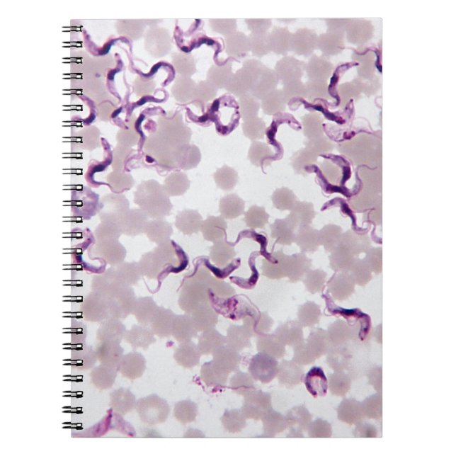 Carnet Parasite Trypanosoma de sang (Devant)