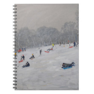 Carnet Parc 2009 de Darley d'hiver