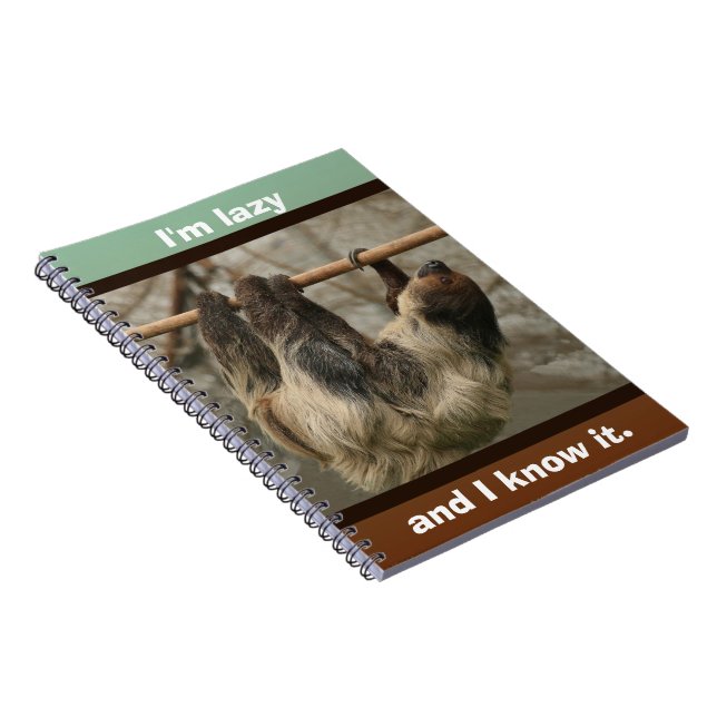 Carnet Paresse (Côté Droit)