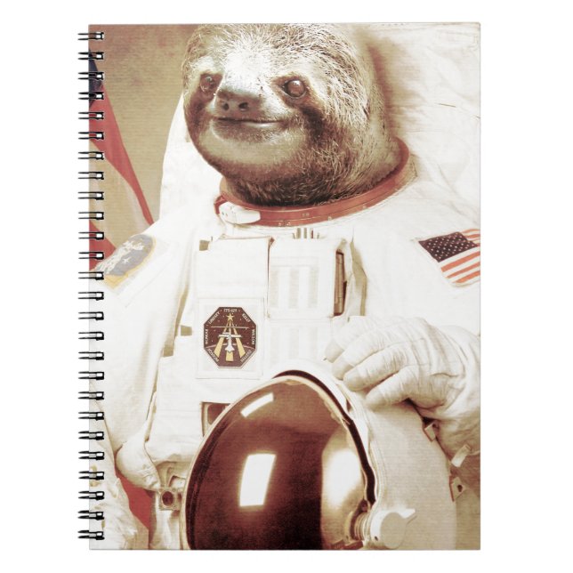 Carnet Paresse d'astronaute (Devant)