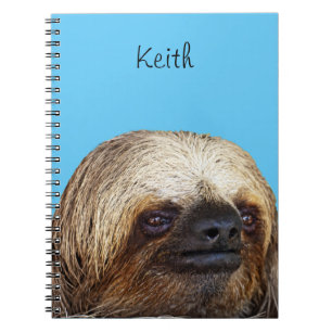 Carnet Paresseux