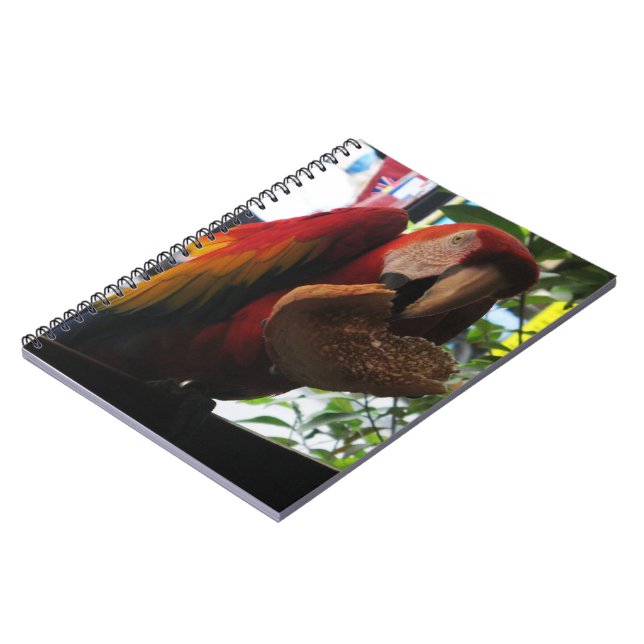 Carnet Parrot Macaw Scarlet Manger Toast (Côté gauche)