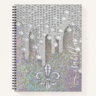 Carnet Parties scintillant Argent Et Diamants Sur Parties