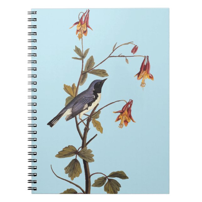Carnet Paruline bleue à gorge noire Audubon Oiseau Amoure (Devant)