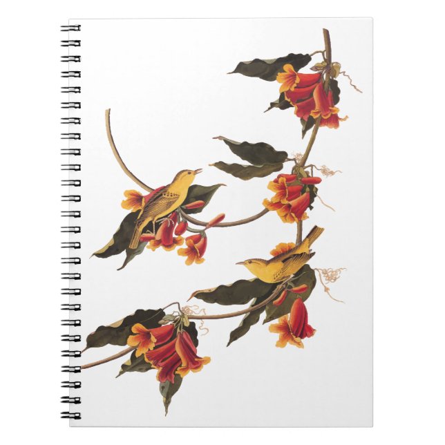 Carnet Paruline jaune Songbirds sur Flower Crossvine (Devant)
