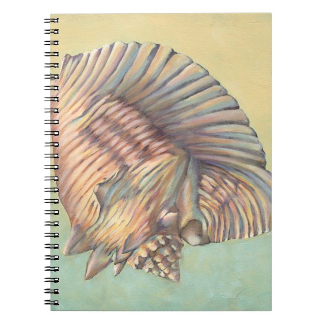 Carnet Pastel Large Conch Shell (Devant)