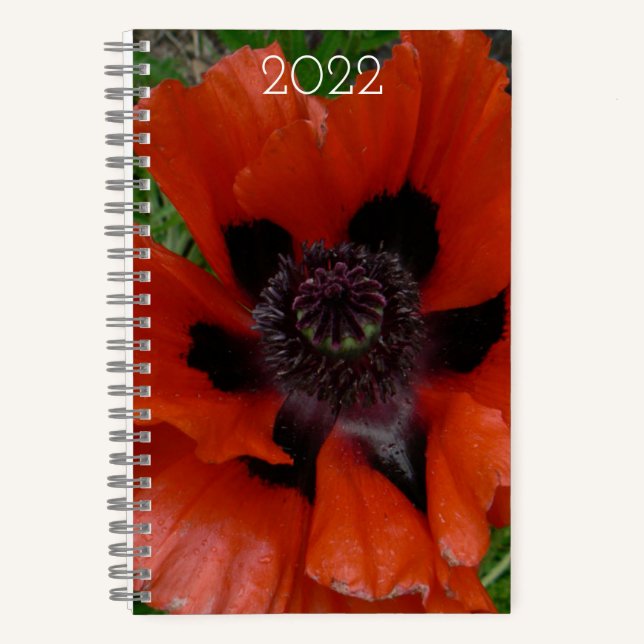 Carnet pavot d'Orient     (Recto)