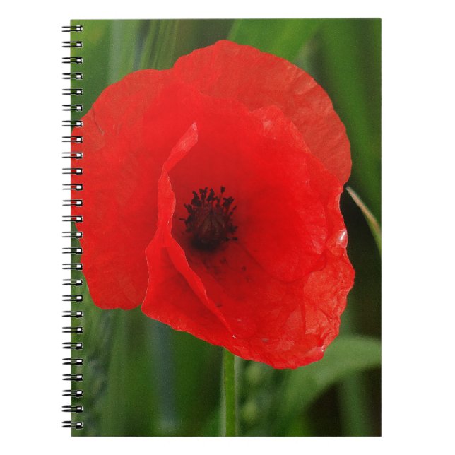 Carnet Pavot rouge (Devant)